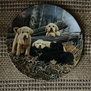 COLLECTOR Plate, Bradford Exchange, Dog Days by Jerry Gadamus, “Sweet Dreams”